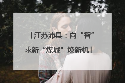 江苏沛县：向“智”求新“煤城”焕新机