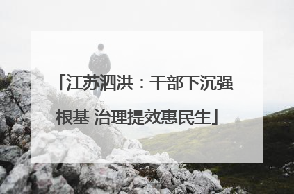 江苏泗洪：干部下沉强根基 治理提效惠民生
