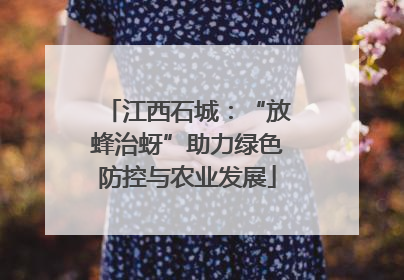 江西石城：“放蜂治蚜”助力绿色防控与农业发展