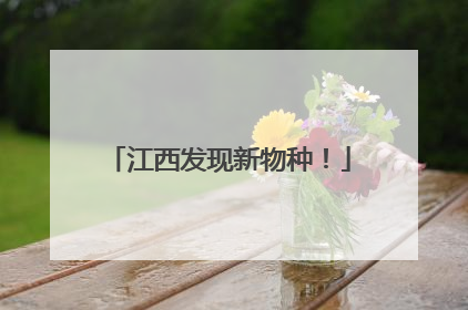 江西发现新物种！