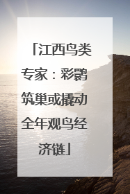 江西鸟类专家：彩鹮筑巢或撬动全年观鸟经济链