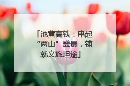 池黄高铁：串起“两山”盛景，铺就文旅坦途
