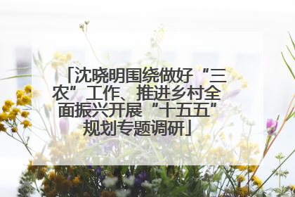 沈晓明围绕做好“三农”工作、推进乡村全面振兴开展“十五五”规划专题调研