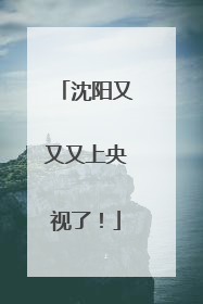 沈阳又又又上央视了！