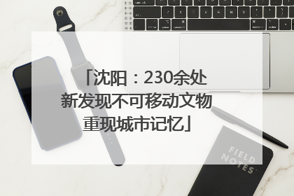 沈阳：230余处新发现不可移动文物重现城市记忆