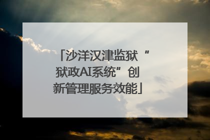 沙洋汉津监狱“狱政AI系统”创新管理服务效能