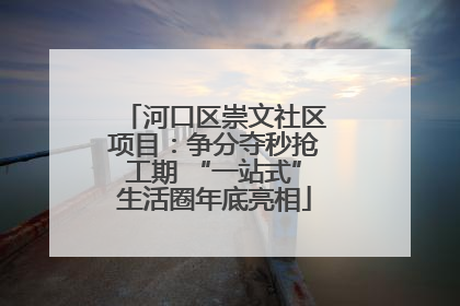 河口区崇文社区项目：争分夺秒抢工期 “一站式”生活圈年底亮相