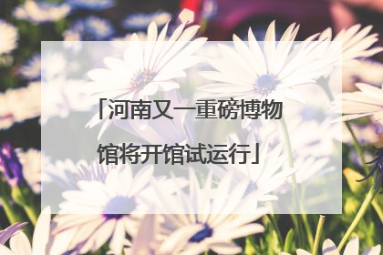 河南又一重磅博物馆将开馆试运行