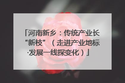 河南新乡：传统产业长“新枝”（走进产业地标·发展一线探变化）