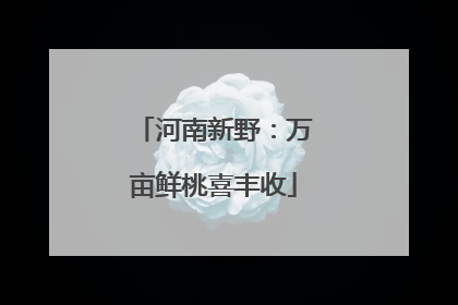 河南新野：万亩鲜桃喜丰收