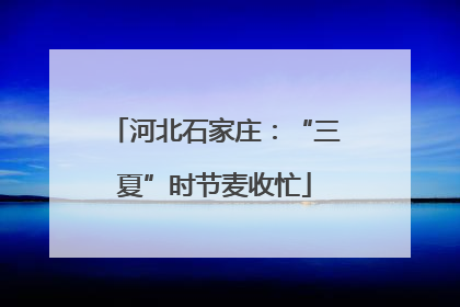 河北石家庄：“三夏”时节麦收忙