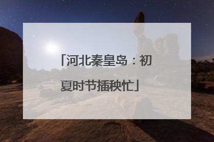 河北秦皇岛：初夏时节插秧忙