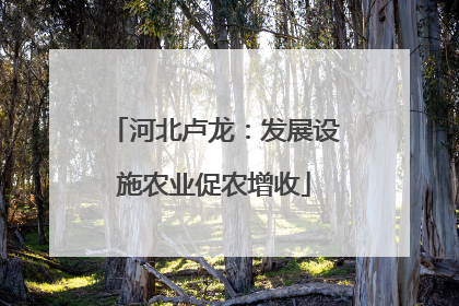 河北卢龙：发展设施农业促农增收