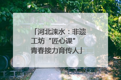 河北涞水：非遗工坊“匠心课” 青春接力育传人