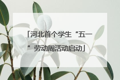 河北首个学生“五一”劳动周活动启动