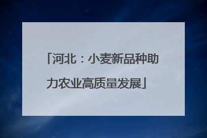 河北：小麦新品种助力农业高质量发展
