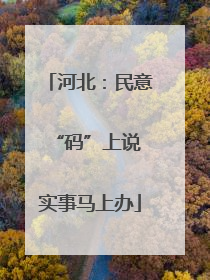 河北：民意“码”上说 实事马上办