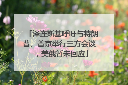泽连斯基呼吁与特朗普、普京举行三方会谈，美俄暂未回应