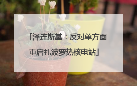 泽连斯基：反对单方面重启扎波罗热核电站