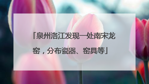 泉州洛江发现一处南宋龙窑，分布瓷器、窑具等