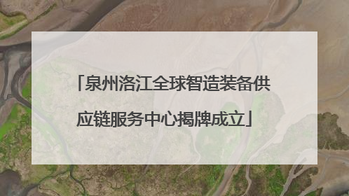 泉州洛江全球智造装备供应链服务中心揭牌成立