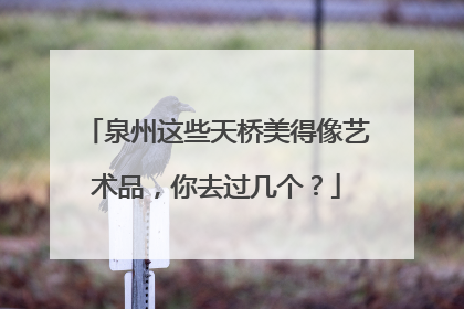 泉州这些天桥美得像艺术品，你去过几个？
