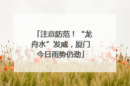 注意防范！“龙舟水”发威，厦门今日雨势仍劲