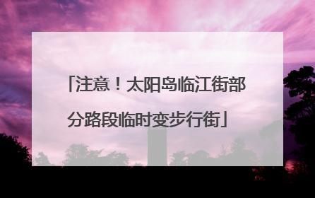 注意！太阳岛临江街部分路段临时变步行街