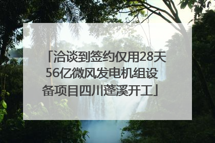 洽谈到签约仅用28天 56亿微风发电机组设备项目四川蓬溪开工