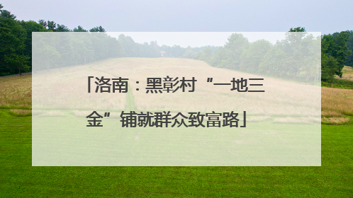 洛南：黑彰村“一地三金”铺就群众致富路