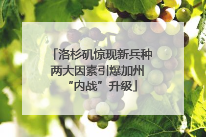 洛杉矶惊现新兵种 两大因素引爆加州“内战”升级