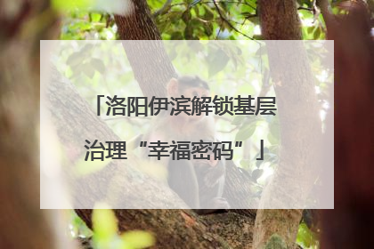 洛阳伊滨解锁基层治理“幸福密码”