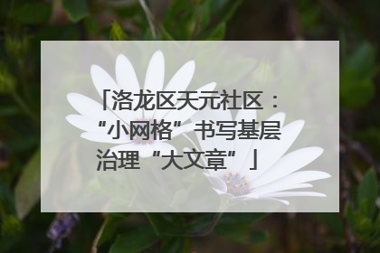 洛龙区天元社区：“小网格”书写基层治理“大文章”