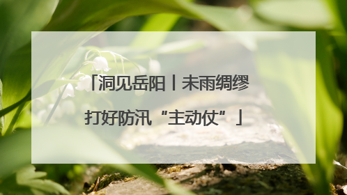 洞见岳阳丨未雨绸缪 打好防汛“主动仗”