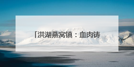 洪湖燕窝镇：血肉铸长堤 奋进谱新曲