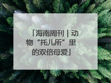 海南周刊｜动物“托儿所”里的双倍母爱