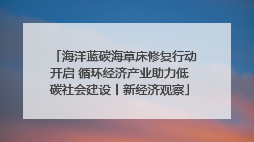 海洋蓝碳海草床修复行动开启 循环经济产业助力低碳社会建设丨新经济观察