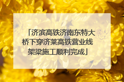 济滨高铁济南东特大桥下穿济莱高铁营业线架梁施工顺利完成