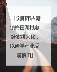 浏阳市古港镇梅田湖村赓续农耕文化，以研学产业反哺粮田