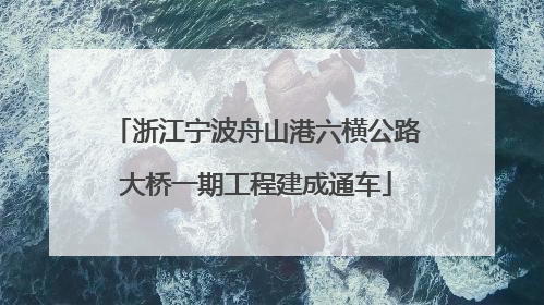 浙江宁波舟山港六横公路大桥一期工程建成通车