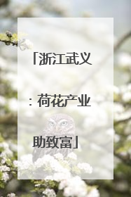 浙江武义：荷花产业助致富