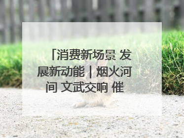 消费新场景 发展新动能｜烟火河间 文武交响 催生“美食+文化”消费新场景