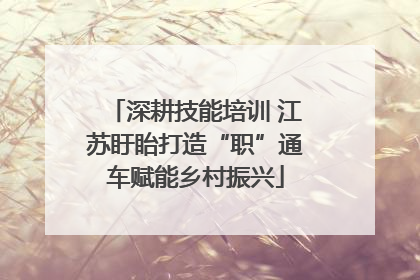 深耕技能培训 江苏盱眙打造“职”通车赋能乡村振兴
