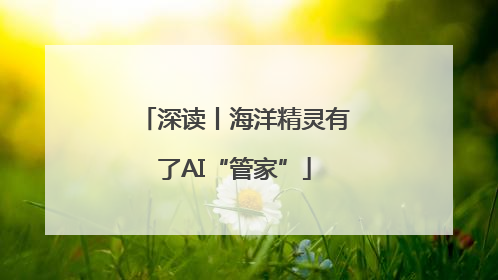 深读丨海洋精灵有了AI“管家”