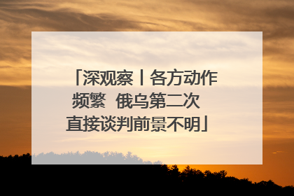深观察丨各方动作频繁  俄乌第二次直接谈判前景不明