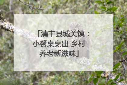 清丰县城关镇：小餐桌烹出 乡村养老新滋味