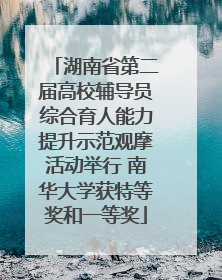 湖南省第二届高校辅导员综合育人能力提升示范观摩活动举行 南华大学获特等奖和一等奖