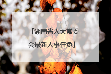 湖南省人大常委会最新人事任免
