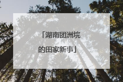 湖南团洲垸的田家新事