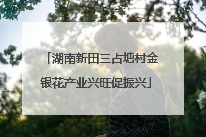 湖南新田三占塘村金银花产业兴旺促振兴